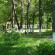 Тишково (закрыт) 