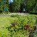 Тишково (закрыт) 