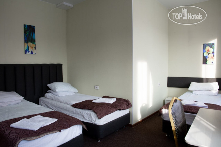 Центральная Вертикаль