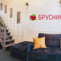 Брусника