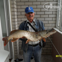 Ромашкино