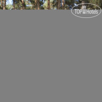 Солнечный мыс 