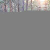 Солнечный мыс 