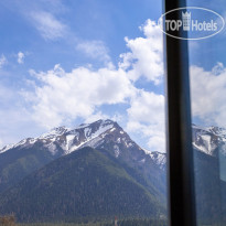 Горная Роза 