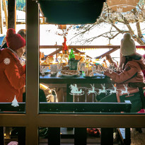 Горная Роза 