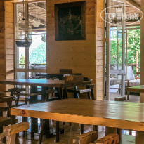 Горная Роза 