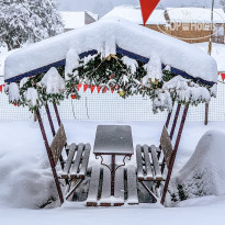 Горная Роза 