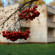 Apart-hotel Nagornoe 