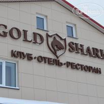 Gold Shark