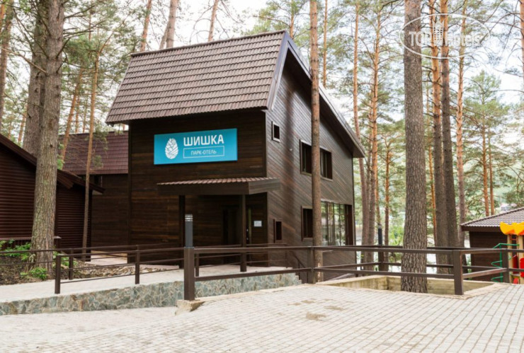 Photos Шишка