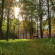 Palmira Garden Hotel & SPA 