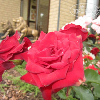 Постоялый двор Ям Купель для любителей контрастн