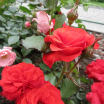 Постоялый двор Ям Купель для любителей контрастн