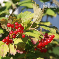 Постоялый двор Ям Купель для любителей контрастн