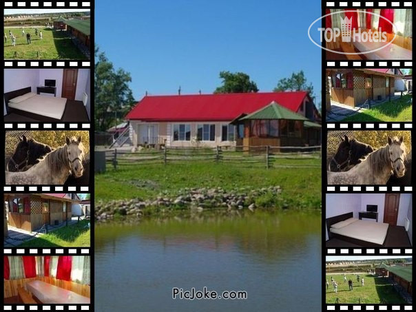 Hotel photo Сойкино 