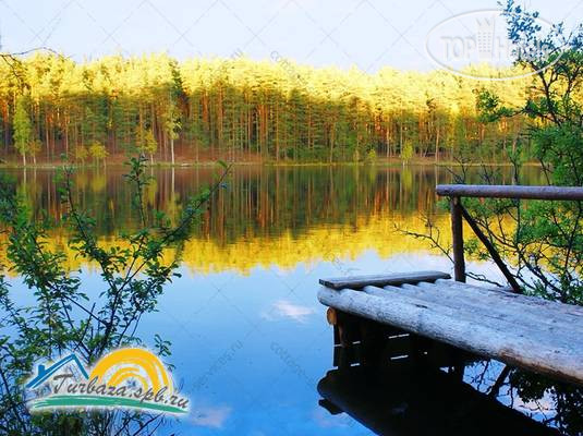 New photos from tourists Шишки на Лампушке