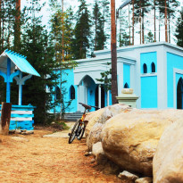 Шишки на Лампушке