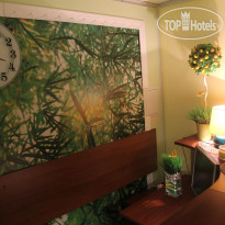 Lemon Hostel