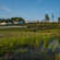 Park Hotel Medvezhya gora 