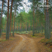 WhiteResort Glades - Karelia 