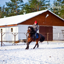 Трава Конный клуб