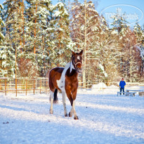Трава Конный клуб