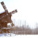 Amaranta Shuvalovka