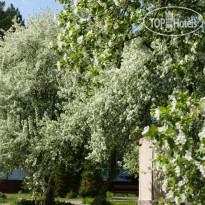 Карагай
