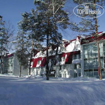 Каменный цветок 