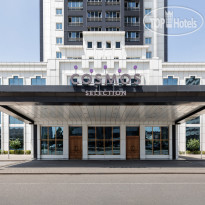 Cosmos Selection Grozny City 