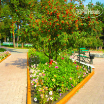 Курьи 