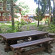 Green Forest Ecoclub Территория комплекса