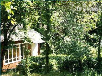 Hotel photo Магарач (закрыт) 