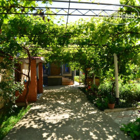 Ласточка Входная группа