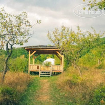EcoCamp 