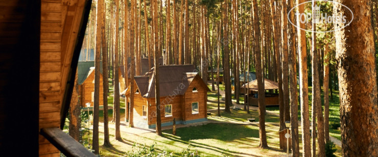 Hotelier's photos Зеленый Бор