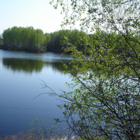 База отдыха Надеждино 