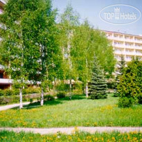 Березовая роща 