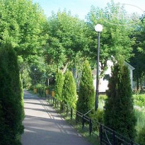 Вербилки