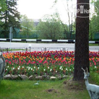 Вербилки