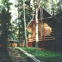 Lada Holiday