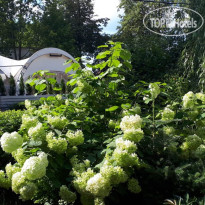 Арт-отель Пушкино (Art-hotel Pushkino) Свадебный летний шатер