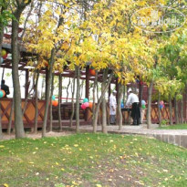 Foresta Festival Park