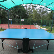 Orchestra Oka Spa Resort Пинг-понг