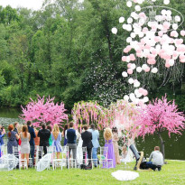 Десна ПОЛЯНА У РЕКИ