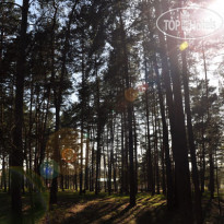 Лесная Опушка (закрыт) 