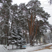 Лесная Опушка (закрыт) 