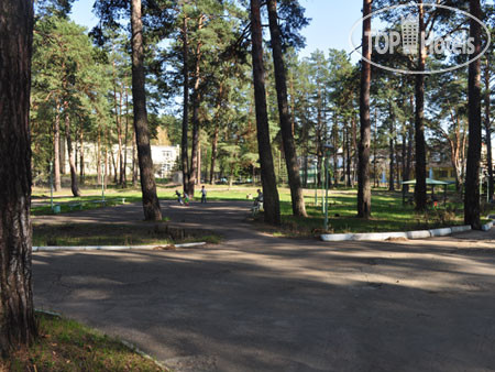 Hotel photo Лесная Опушка (закрыт) 