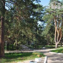 Лесная Опушка (закрыт) 