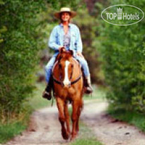 Медвежьи озера 